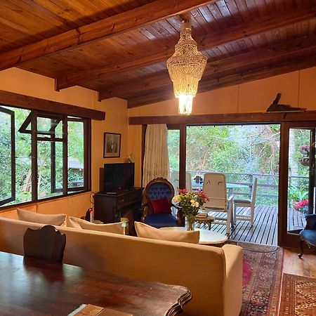 Nature'S Valley Health Retreat A Hide Away In The Forest Esterno foto