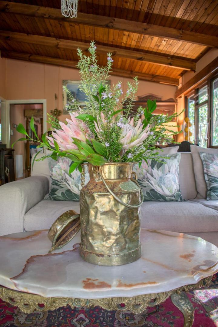 Nature'S Valley Health Retreat A Hide Away In The Forest Esterno foto