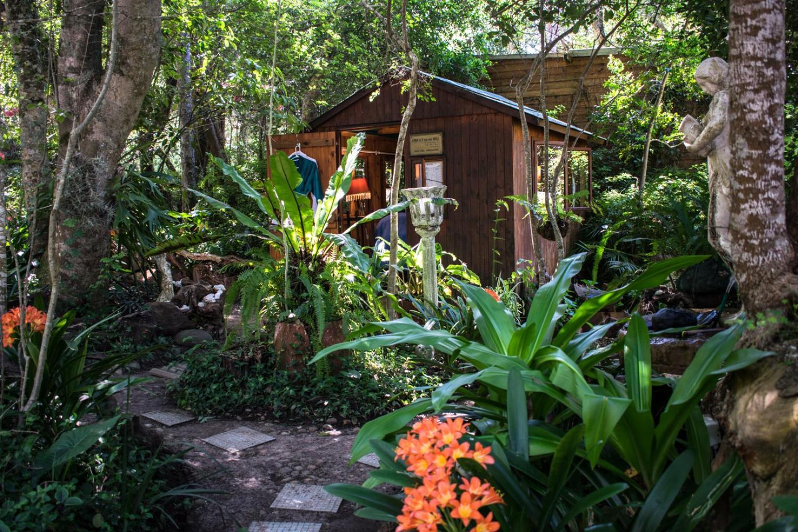 Nature'S Valley Health Retreat A Hide Away In The Forest Esterno foto