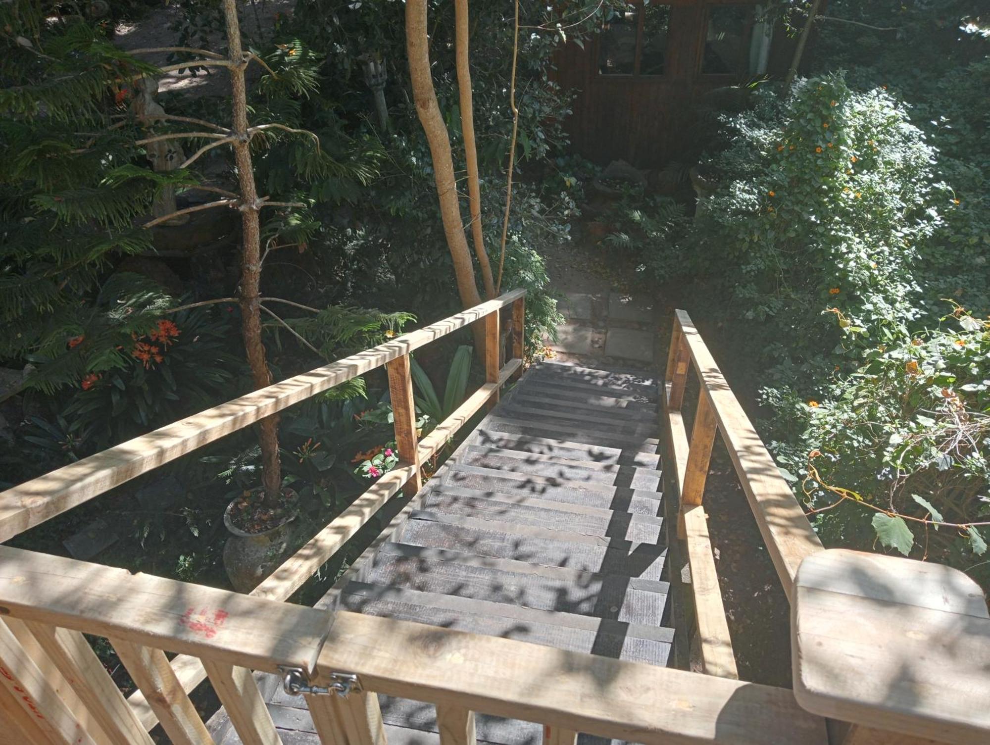 Nature'S Valley Health Retreat A Hide Away In The Forest Esterno foto