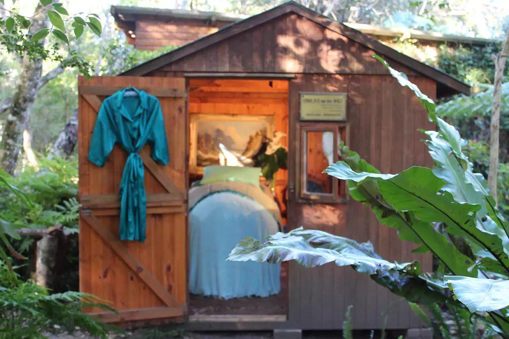 Nature'S Valley Health Retreat A Hide Away In The Forest Esterno foto