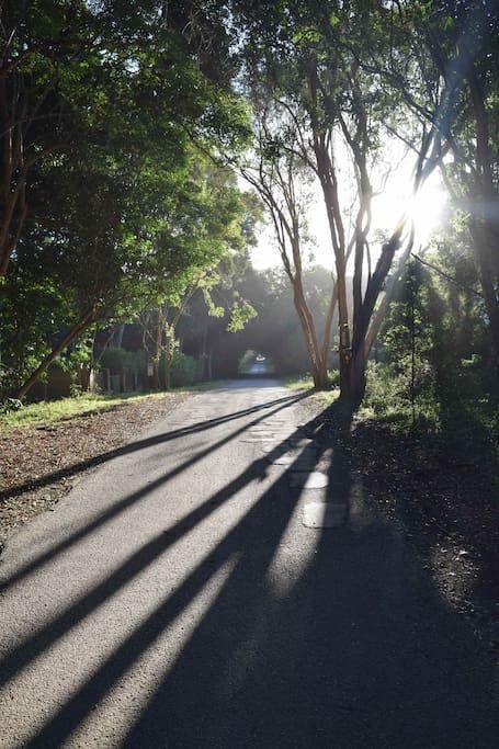 Nature'S Valley Health Retreat A Hide Away In The Forest Esterno foto