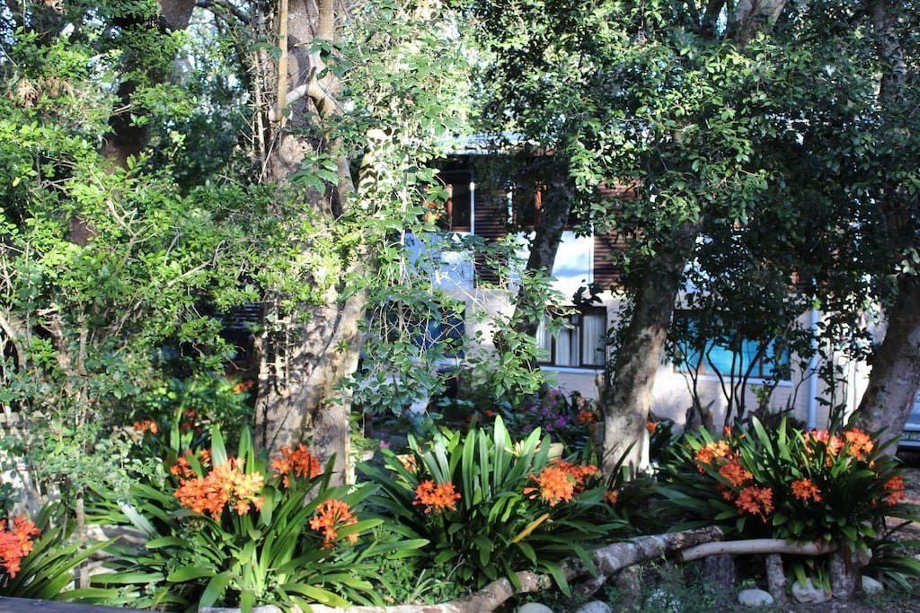Nature'S Valley Health Retreat A Hide Away In The Forest Esterno foto